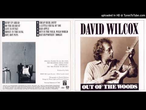 David Wilcox and the Teddy Bears - Walkin' By Myself (Live 1978)