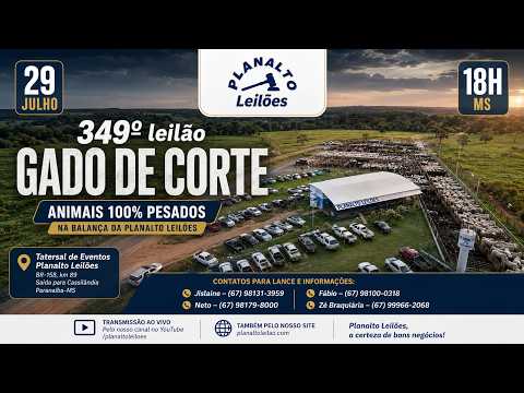 29/07/2026 349º Leilão Gado de Corte em Paranaíba -MS Planalto Leilões