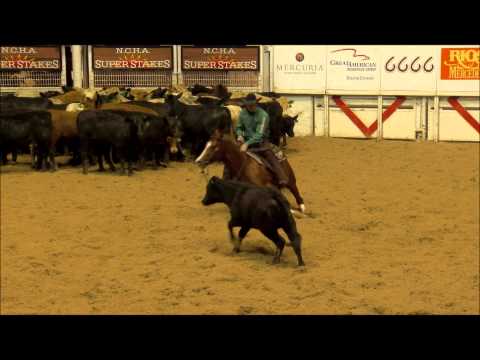 2015 NCHA Super Stakes Open Championship