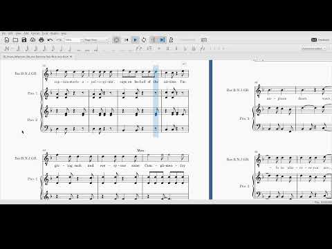 28 Hours / Wherever We Are Baritone / Bob / Nick / Joey / Bush