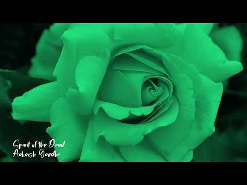 Spirit of the Dead - Aakash Gandhi | 1 Hour