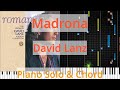 🎹Madrona, Solo & Chord, David Lanz, Synthesia Piano