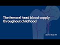 Changes in blood supply to head of femur during growth