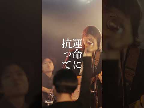 一週間分まとめて、音楽系ショート動画を作成します イメージ1