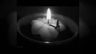 Comenzamos a flotar !!Rosario