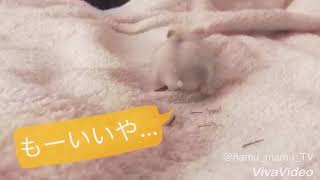 ねむるの日常 ごくごくごく！笑