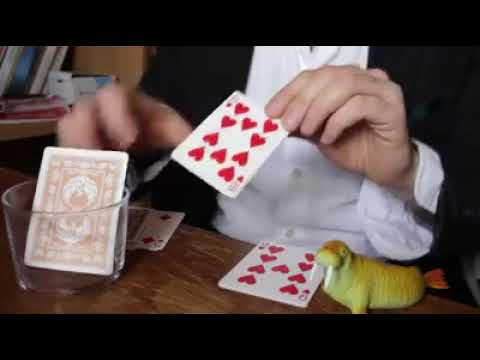 Markobi 2017 music routine 