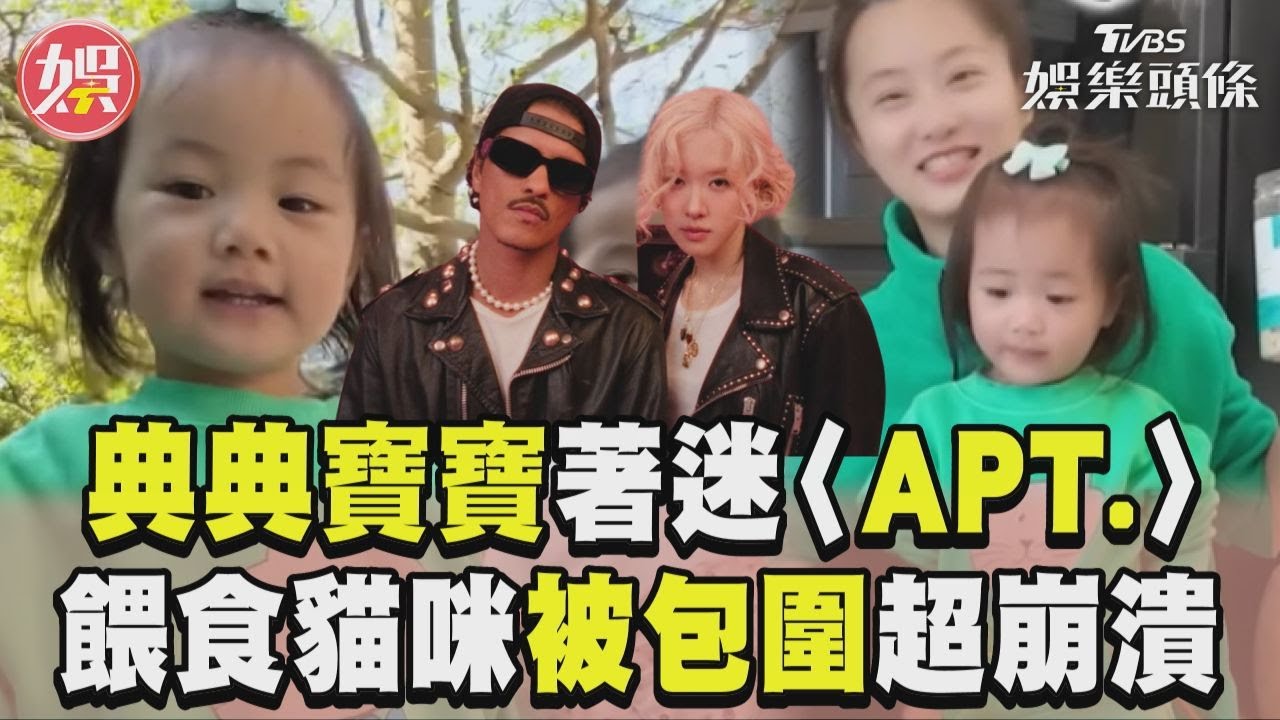影音/典典寶寶跟流行吵著看〈APT.〉! 餵食貓咪被包圍超崩潰:怕怕