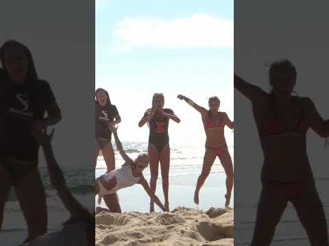 Bisca waves loading… ⏳