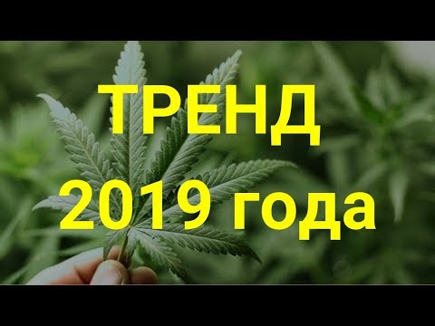 ТРЕНД 2019