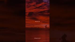 Download lagu Zaalima whatsapp status | Shah Rukh Khan | Raees | Arijit Singh | whatsapp status | #shorts #status mp3