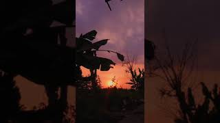 Download lagu story wa aesthetic 30 detik | story wa aesthetic alam | Story wa senja mp3