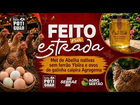 Feito na Estrada | Ybiíra e Agrogema: Mel de Jandaíra e Ovos Caipiras