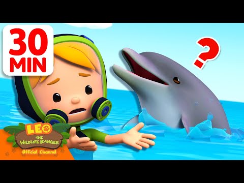 Witness21 Editor  2025 05 17