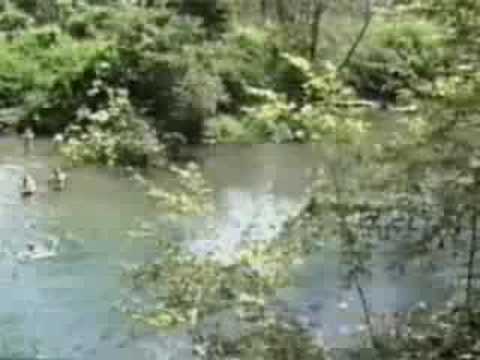 Crusty Demons of DMORE VIDEOS   WWW.FMX-SCHOOL.COM