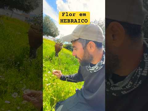 Flower in HEBREW Applied Word #israel #hebrew #languages ​​#nature