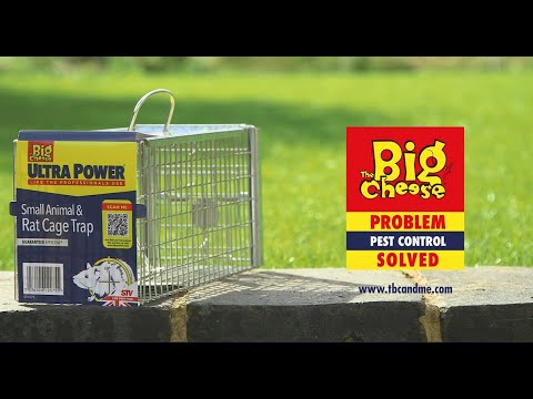 The Big Cheese Rat Cage Trap -  STV075
