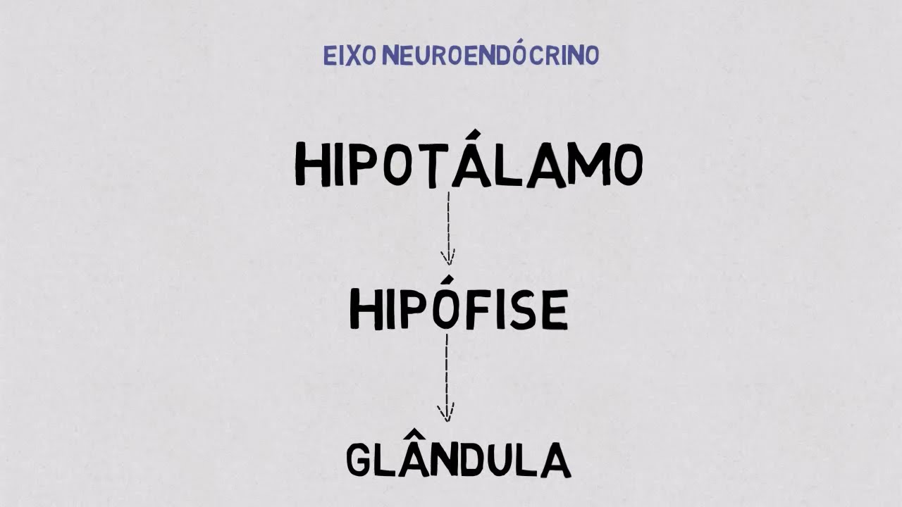 Aprendendo Fisiologia: Ciclo reprodutor feminino (por Vanessa M. Ceglarek)