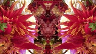 rank strangers (Rank Strangers by Gillian Welch and David Rawlings w/John Doe)