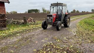 Massey Ferguson 350 traktor p&aring; hjul | Billede 4 - Agroline