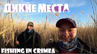 Рыба в евпатории поймать 2020 лето