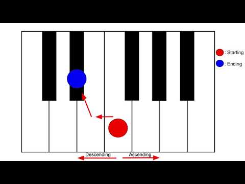Half Steps Vs. Whole Steps | Straight to the Point!