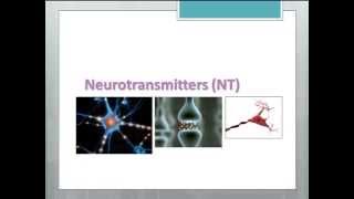 Neurotransmitters