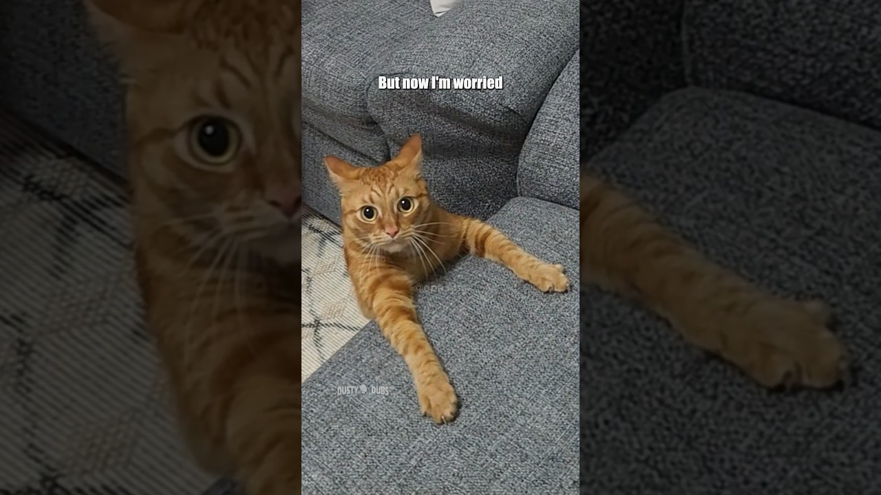 Ginger Snaps 🎥: ​⁠@opa-nna #shorts