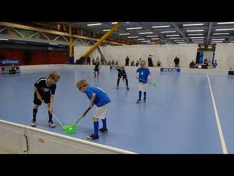 Martin sudet - SB-Pro P07 salibandypeli Esport Arenalla 25.3.2017 Kolmas peli