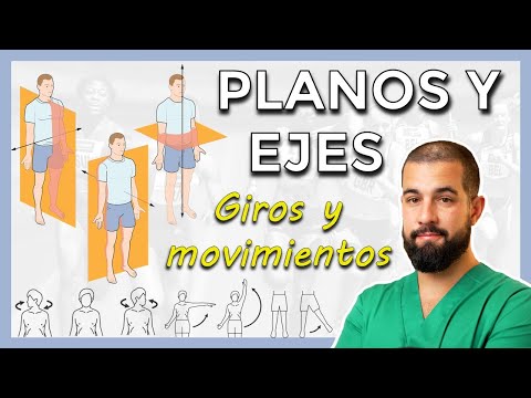 ANATOMICAL PLANES AND AXES. Sagittal - Coronal - Transverse. BODY MOVEMENTS