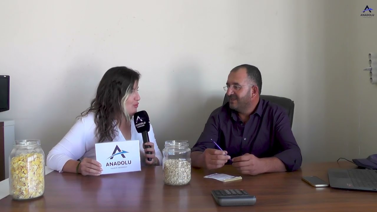 OĞUZ TARIM MISIR SİLAJI