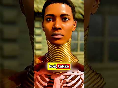 Proč Si Dělají DLOUHÉ KRKY ?!🤮