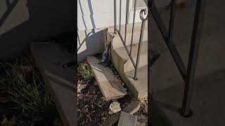 20 ton jack lift a porch 🤔