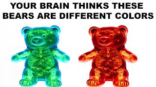Optical Illusion Memes