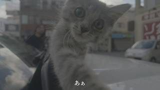 【イベントV＆日常VLOG】パーティと替え歌とやんのかステップ編