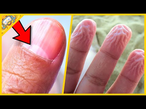 10 Věcí, Které Jste Nevěděli o Lidském Těle