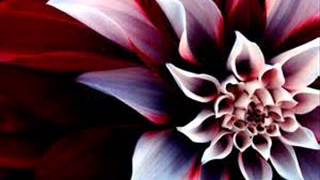 Download lagu Cinta Melankolia, Aan - maksud disebalik lagu mp3