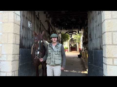 🎙️ 𝐄𝐍𝐓𝐑𝐄𝐕𝐈𝐒𝐓𝐀 | 𝐆𝐚𝐧𝐚𝐝𝐞𝐫í𝐚 𝐉𝐮𝐥𝐢𝐨 𝐝𝐞 𝐥𝐚 𝐏𝐮𝐞𝐫𝐭𝐚