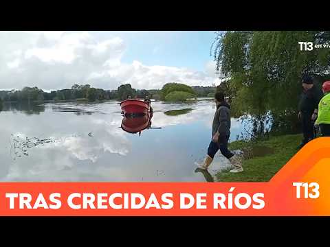 80 animales quedaron atrapados tras crecidas de ríos en Mariquina