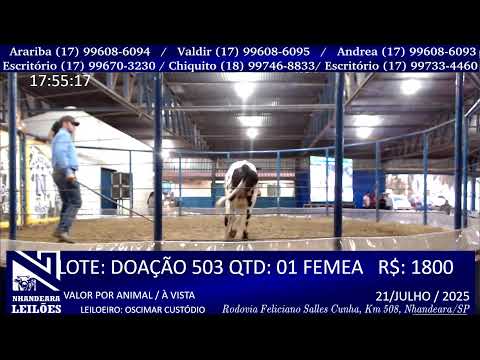 LEILÃO NHANDEARA LEILÕES - 21/07/2025- NHANDEARA/SP