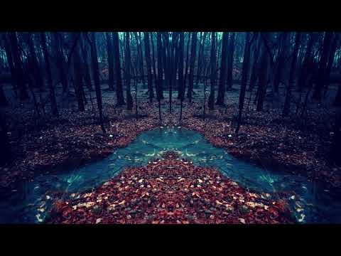 𝔬𝔪𝔢𝔫 - Sacraments Vol. 2 by 𝔬𝔪𝔢𝔫 - Deep Dark Dubstep Horror Mix