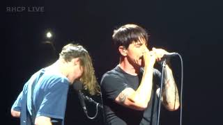 Red Hot Chili Peppers - Feasting On The Flowers - Paris. FR