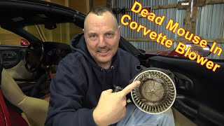 2001 Corvette C5 Blower Motor & Auto Fan Controller Replacement