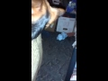 Dogy DICK