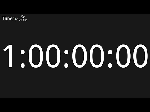 1 Day Countdown Timer