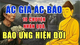 Rợn Người 10 Chuyện Nhân Quả – Ác Giả Ác Báo Ngay Hiện Đời