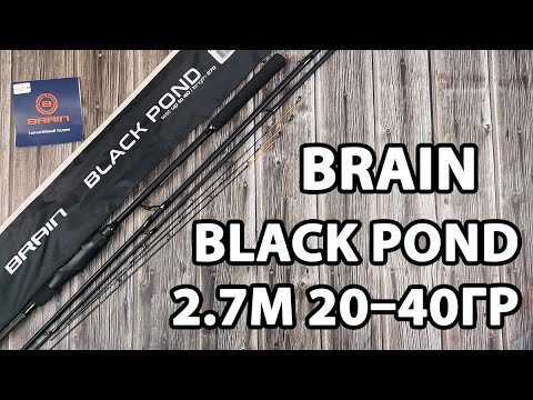 Фідер Brain Black Pond 2.7м / 20–40гр — легкий пікер для ближнього закидання