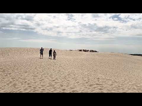#SandDune #Denmark #viralvideo. The largest moving dune in Northern Europe.