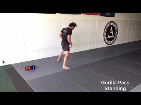 30 Minute Home HIIT  (Follow Along) Workout #1 - Jiu Jitsu FLO