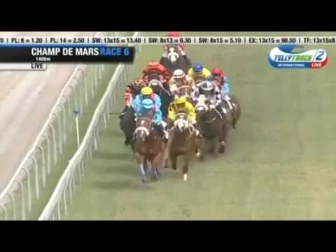 2017.03.25 Duchess of York Cup (MRI) - Ready to Attack